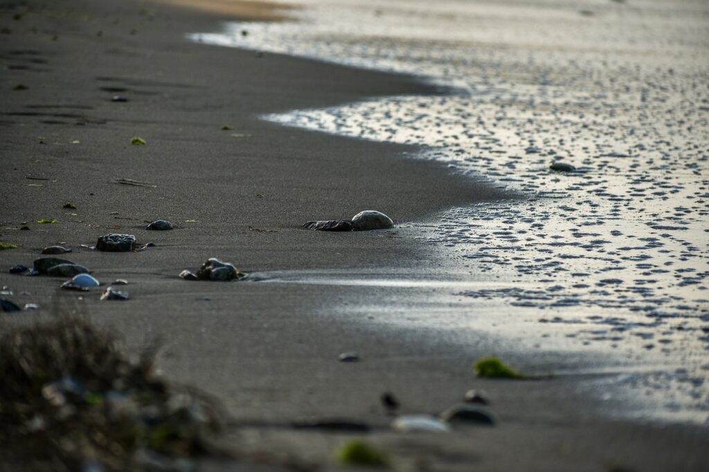 50-Year-Old Polish Man Drowns Off Pedrogao Beach in Portugal